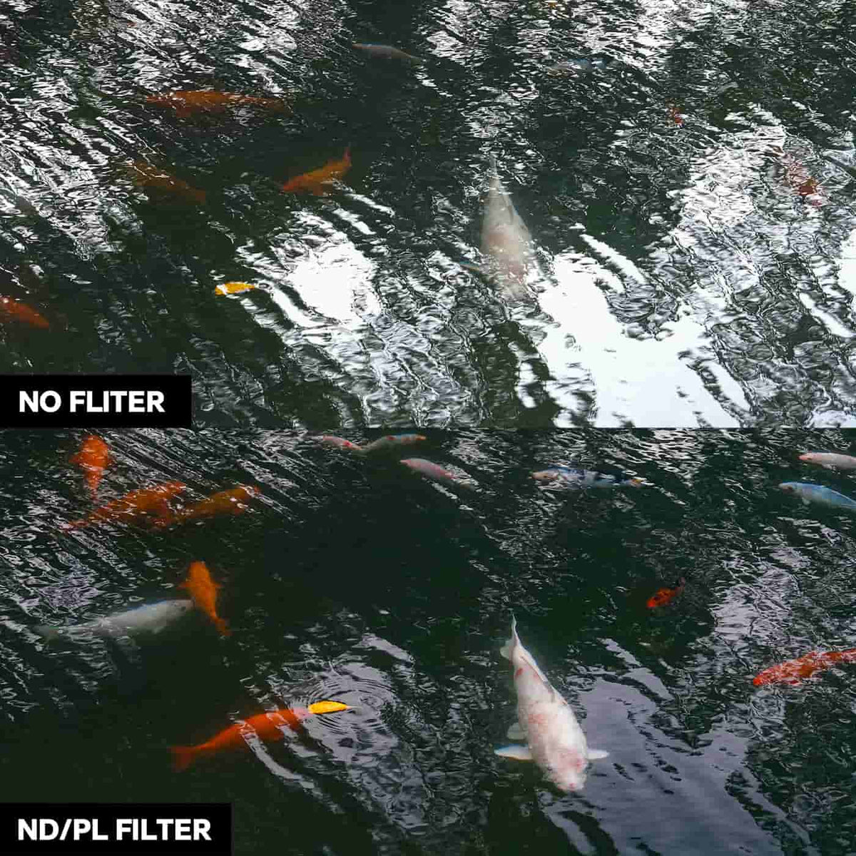 ACTION 6 ND16/PL Filter