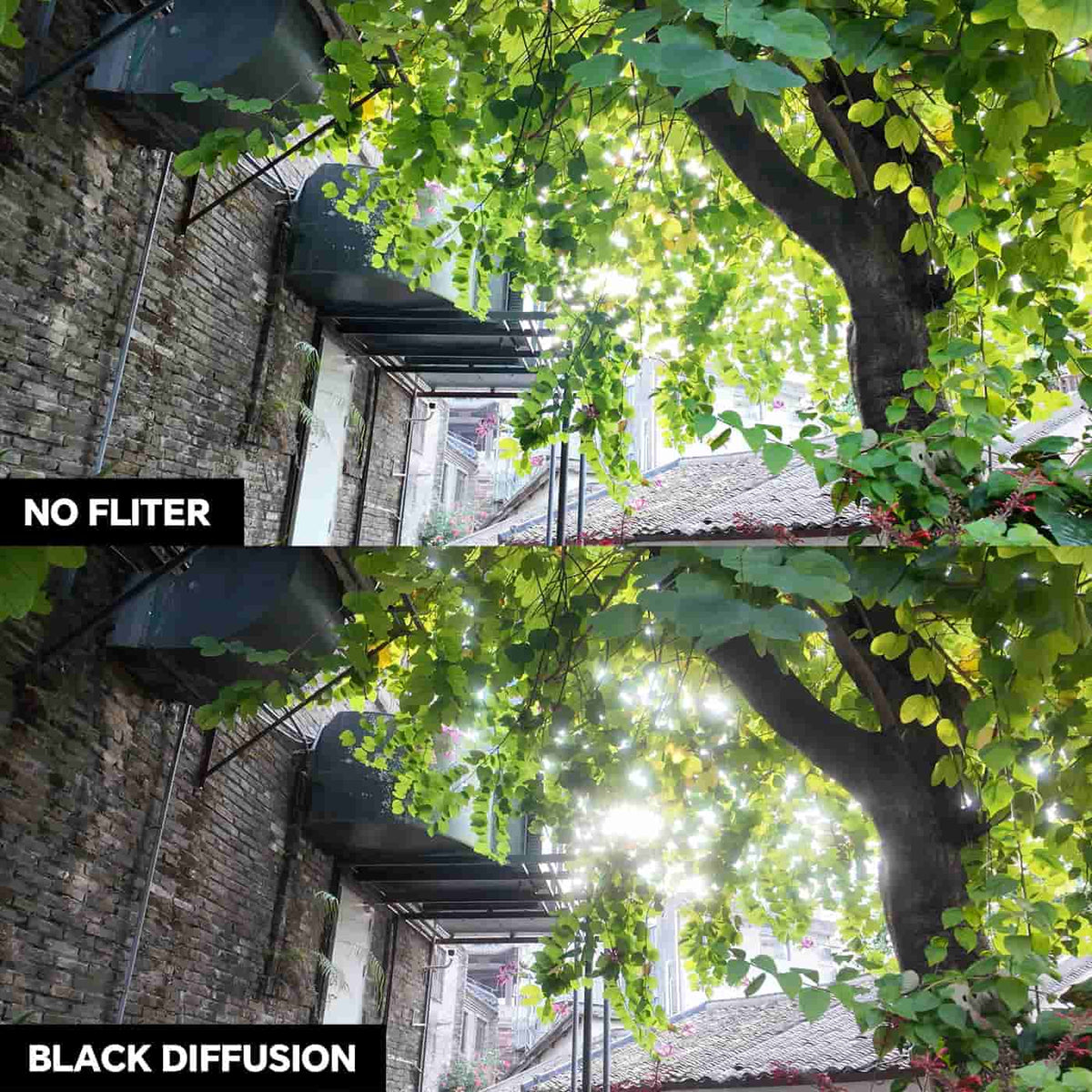 ACTION 6 1/4 Black Diffusion Filter