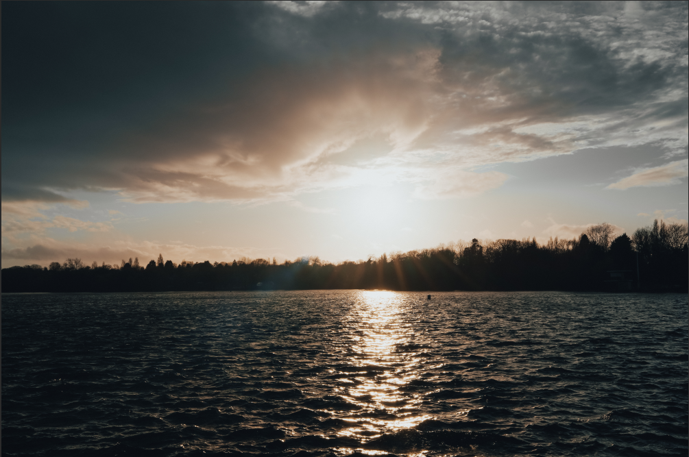 Image alt text