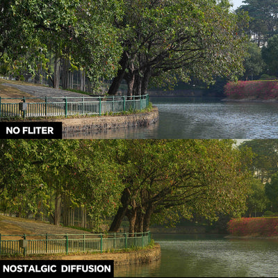 Nostalgic Diffusion Filter