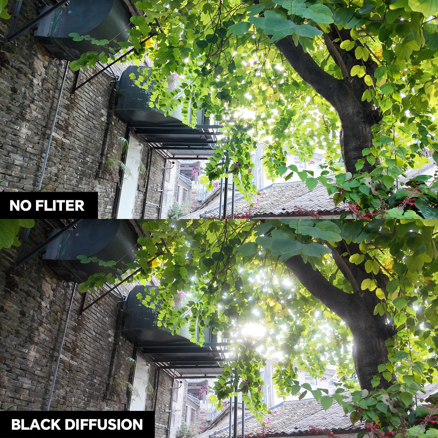 1/4 Black Diffusion Filter